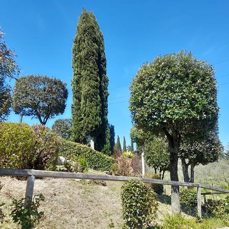 קסטלפיורנטינו Villetta Dei Lecci מראה חיצוני תמונה