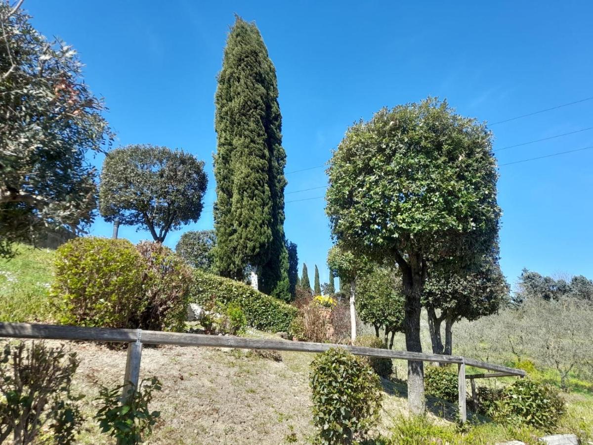 קסטלפיורנטינו Villetta Dei Lecci מראה חיצוני תמונה